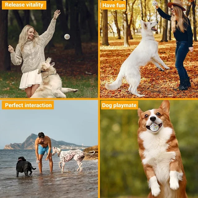 Dog Toy Ball Solid Bite Resistant Small Large Dog Toys High Elasticity E-TPU Pet Chew Solid Ball For Dogs Toys Pet Supplies 5