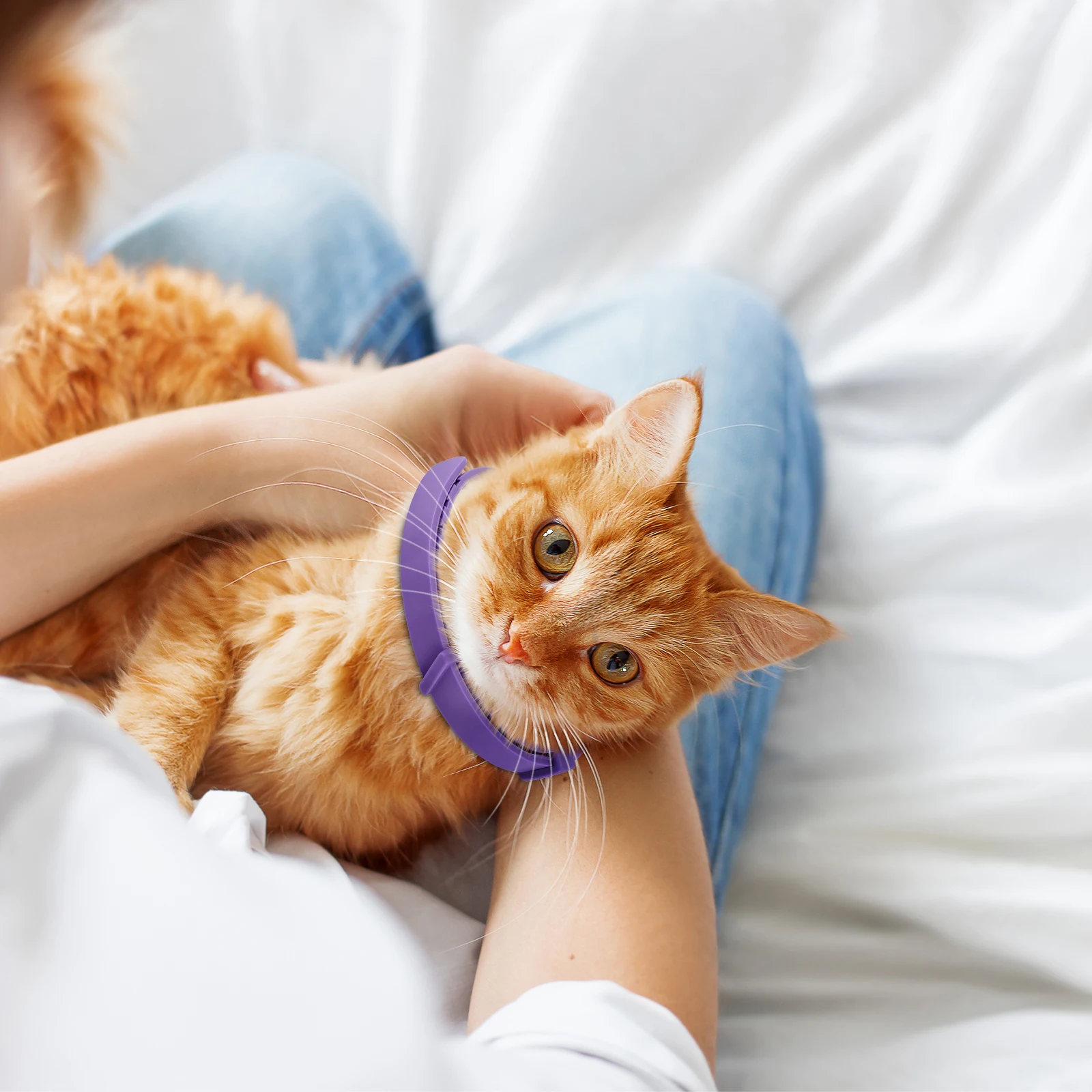 4Pcs Cat Calming Collar Soothing Collar Adjustable Cat Pheromone Collar Anti-Anxiety Helps with Aggression for All Types of Cats