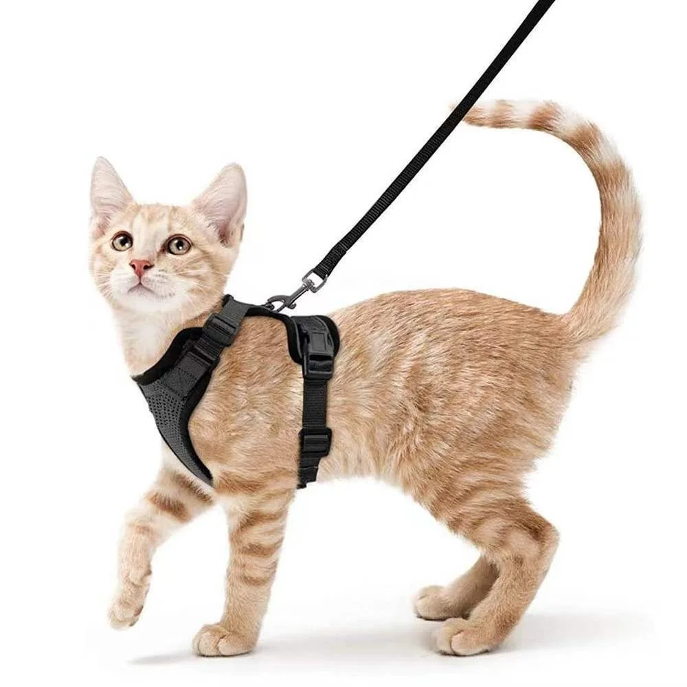 

Cat Adjustable Harness Cat Vest-style Leash To Prevent Break Free for Small Dog Chest Strap Cats Pet Easy Control Dog leash