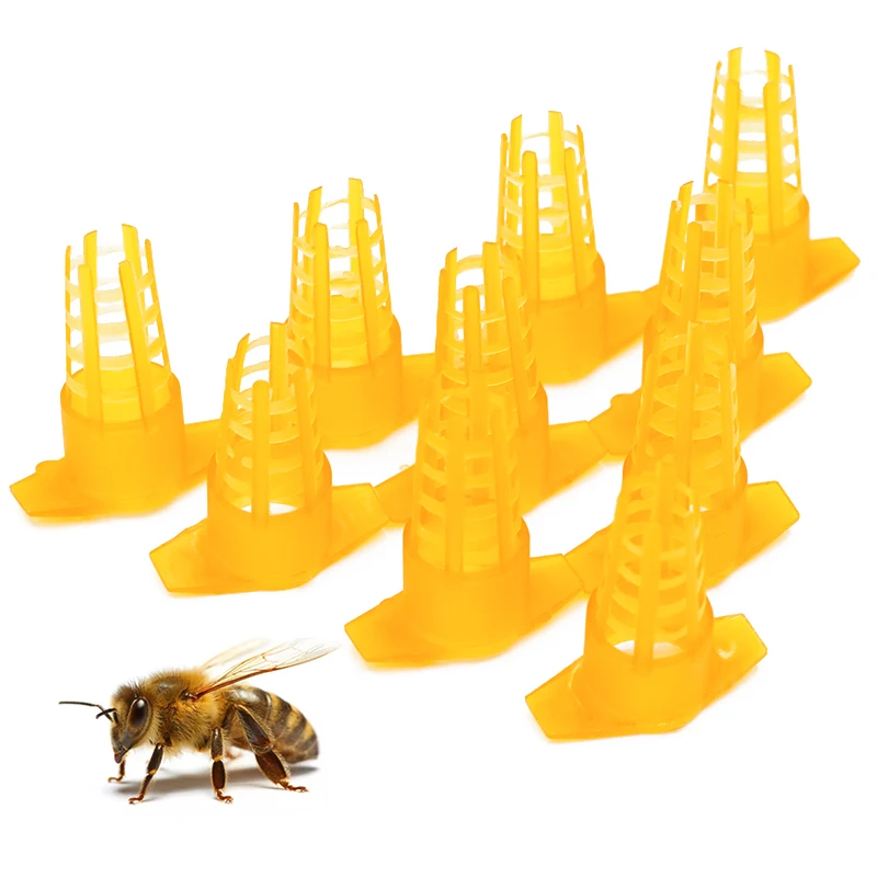 

50Pcs Plastic Bees Protective Cover Cell Protector Cages Bee Queen Cage Beekeeping Equipments Apiculture Supplies
