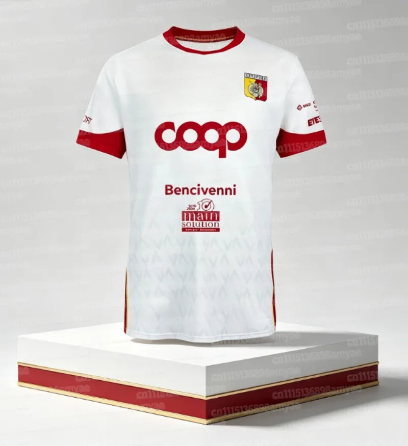 Neues 26 Catanzaro Fußball-Matchtrikot T-Shirt Italienisches Herren-Fußball-Schnelltrocknungs-Trikot T-Shirt Speziell für Familien
