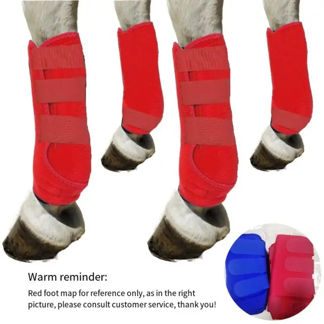 4pcs/set Colorful Horse Sport Boots Set Durable Breathable Horse Leg Wraps Easy To Wear Comfortable Front Hind Legs Guard 4