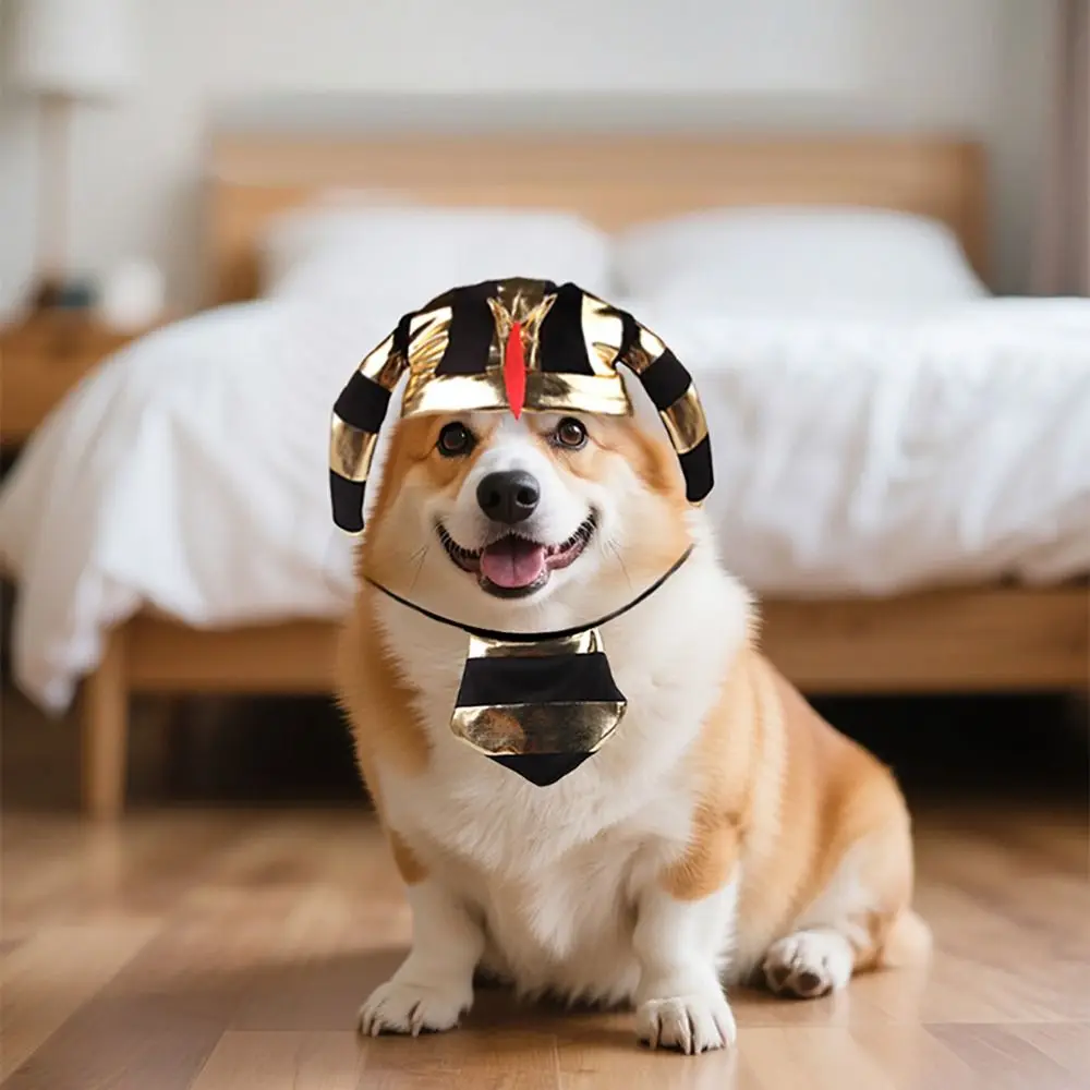Comfortable With Tie Pet Pharaoh Hat Set Pet Dress Up Adjustable Pet Cosplay Costume Cat Dog With Tie Horn Cap Cat&Dog S51a401fb74d24b4eb580413fe31479fba