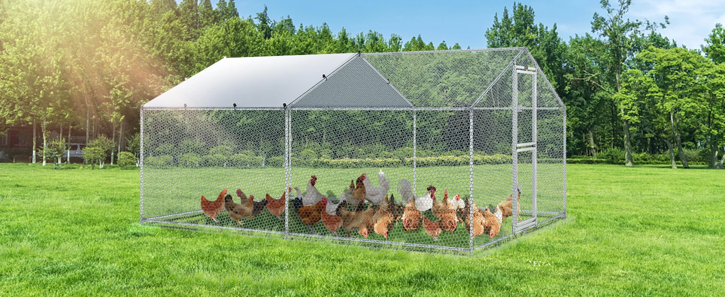 chicken coop
