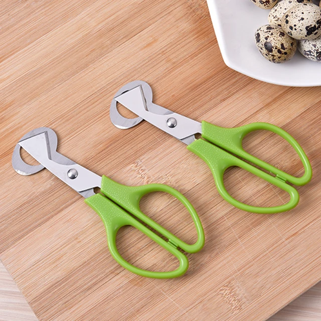 M2EE 1pcs Quail Eggs Scissors, Stainless Steel Pigeon Quail Egg Cutter,  Pigeon Bird Quail Egg Opener Kitchen Egg Shears Tool - AliExpress