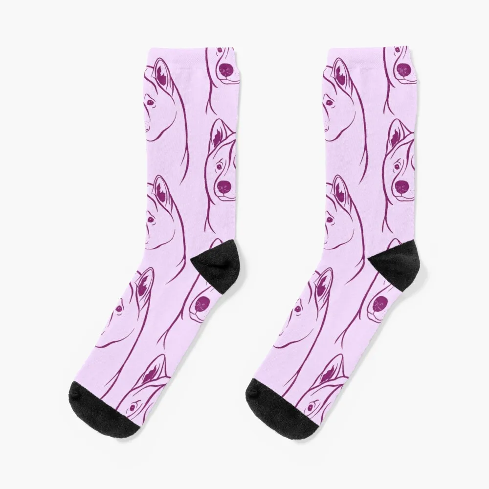 

American Akita (Lilac and Plum) Socks