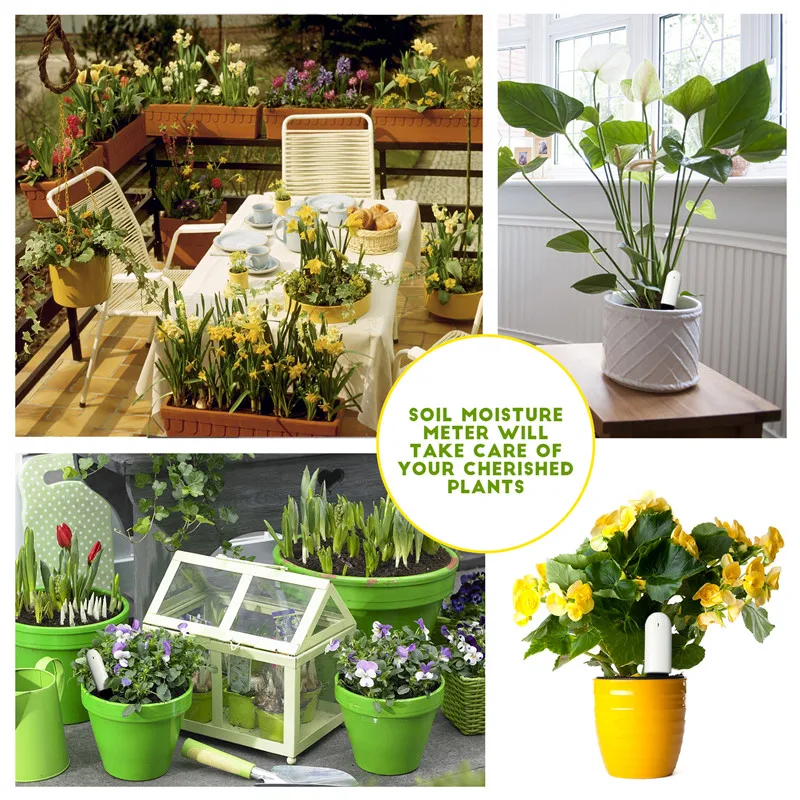 Flower Care Max Smart Plant Monitor for Xiaomi Mijia APP