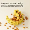 TPR Dog Chew Toys Bite Resistant for Small Medium Dogs Teeth Cleaning Interactive Toys Non Toxic Safe Pet Supplies for Chewing 2