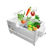 Commercial Industrial Fresh Ginger Washing And Peeling Machine Vegetable Washer Shell Fish Carrot Dates Potato Cleaning Machine 1