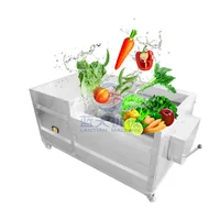 Commercial Industrial Fresh Ginger Washing And Peeling Machine Vegetable Washer Shell Fish Carrot Dates Potato Cleaning Machine 1