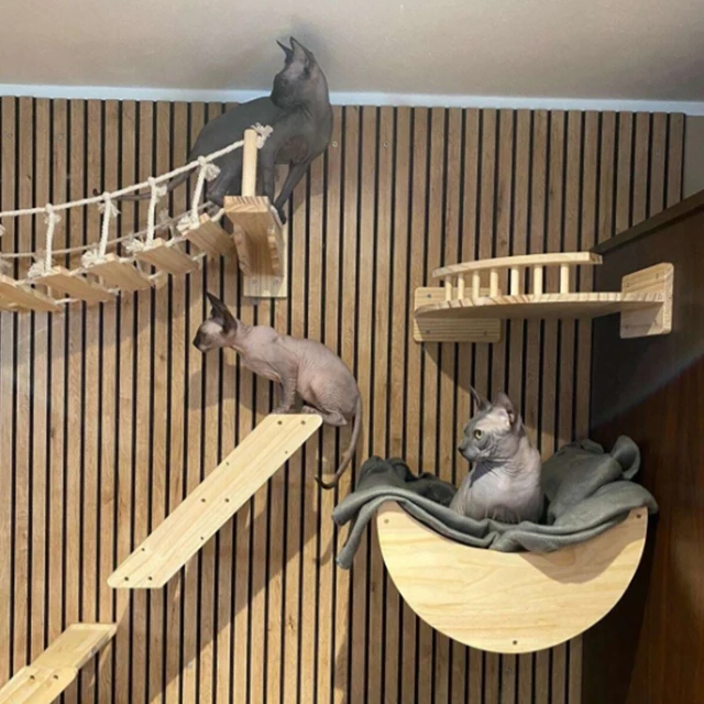 Wall Mounted Pet Furniture Cat Climbing Ladder Pet Wall Hammock, Indoor Activities, Sisal Cat Scratching Post Wall Mounted Pet Furniture Cat Climbing Ladder Pet Wall Hammock, Indoor Activities, Sisal Cat Scratching Post