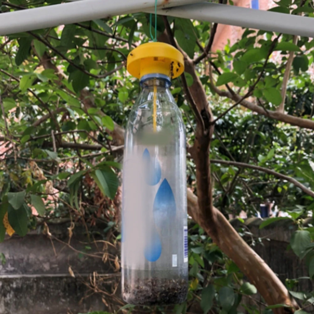 Fruit Fly Trap Killer Plastic Drosophila Trap Fly Catcher pest Insect control Home Farm Orchard 6 * 6 * 2 cm