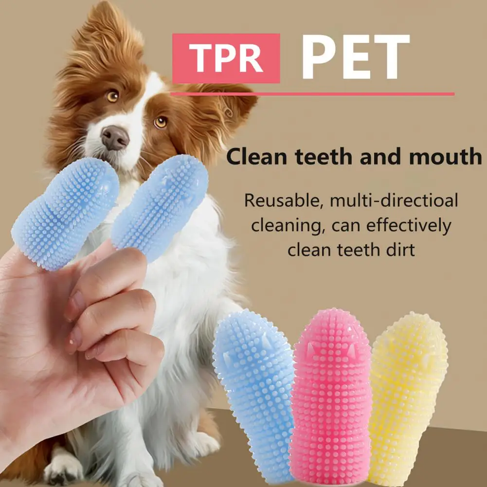 

6Pcs Professional Pet Toothbrush Effective Teeth Cleaning Healthy Gums No Yellowing Toothbrushes for Dogs Cats