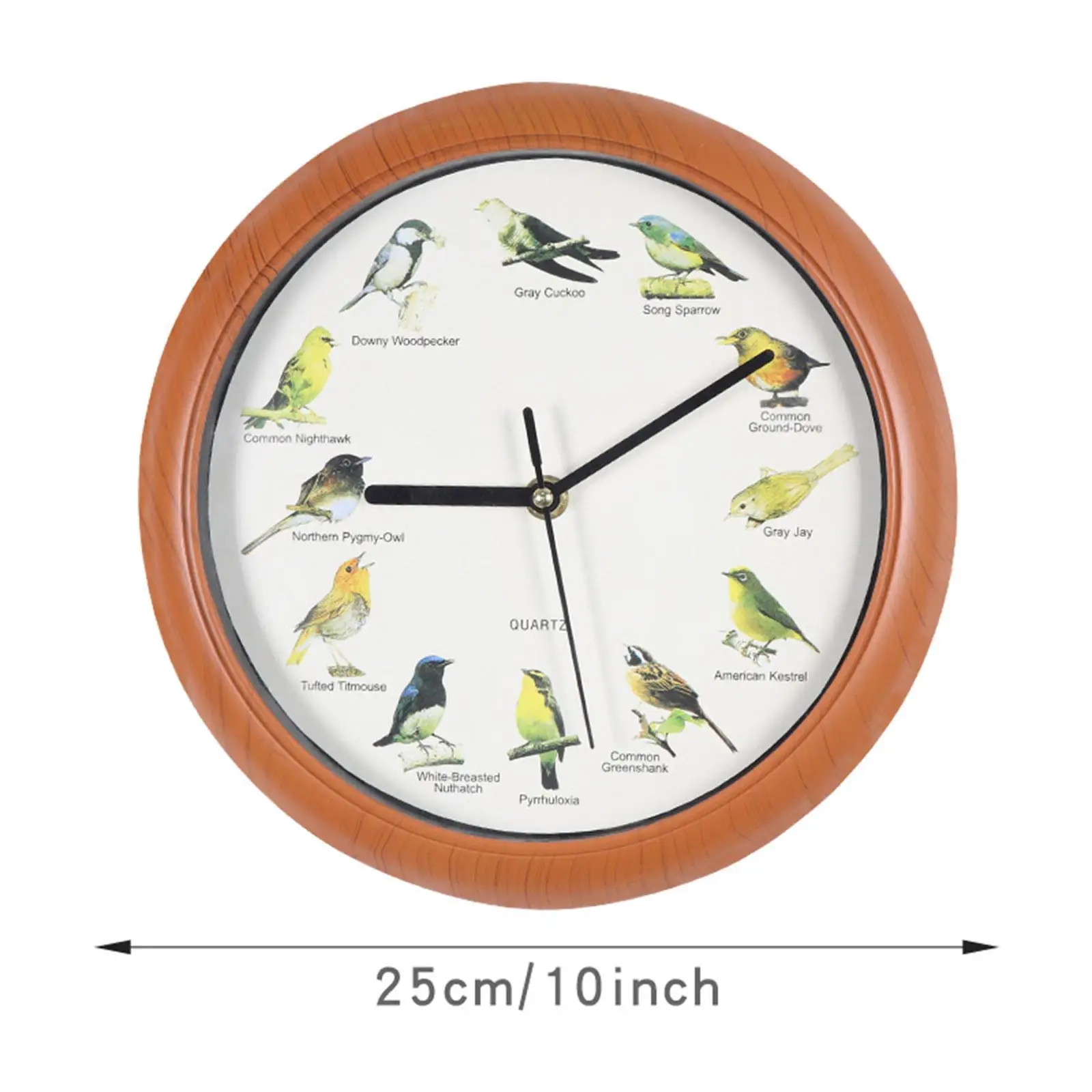 Singing Bird Wall Clock, Bird Clocks Wall Clocks Hanging Clock Decor, Decorative Wall Clocks for Walls Kitchen Home Decor