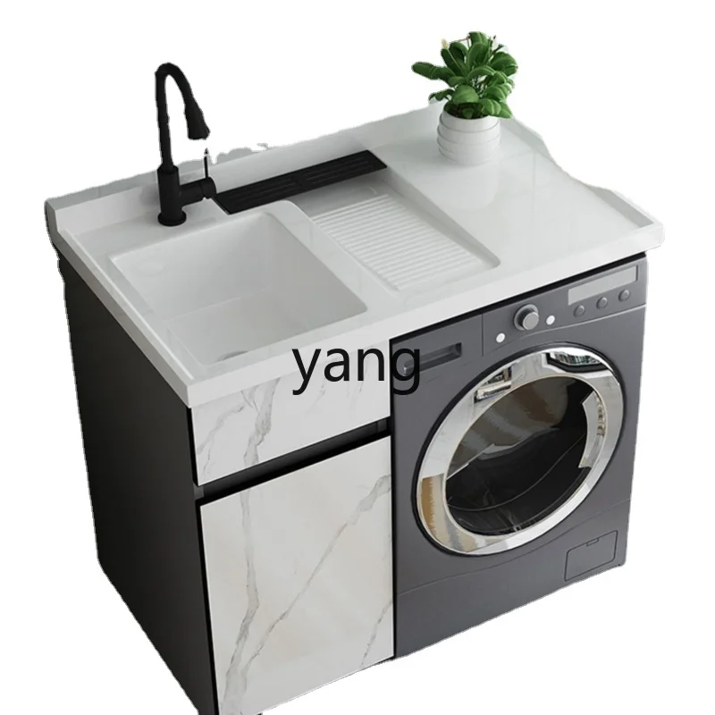 

CX Balcony Wash Wardrobe Companion Protective Shell Inter-Platform Basin with Washboard Slot Pool