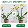 10Pcs Plant Support Stakes 12 Inch Green Plant Sticks With Adjustable Retaining Ring Indoor Outdoor Garden Flower Pot Stand 2