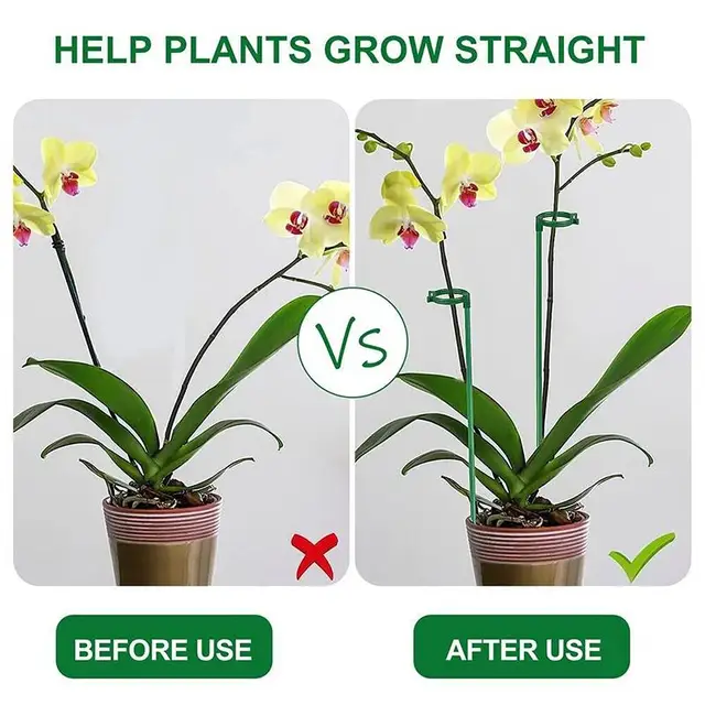 10Pcs Plant Support Stakes 12 Inch Green Plant Sticks With Adjustable Retaining Ring Indoor Outdoor Garden Flower Pot Stand 2