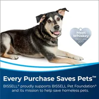 TurboClean PowerBrush Pet Carpet Cleaner, 2987,Green/ Black large 2