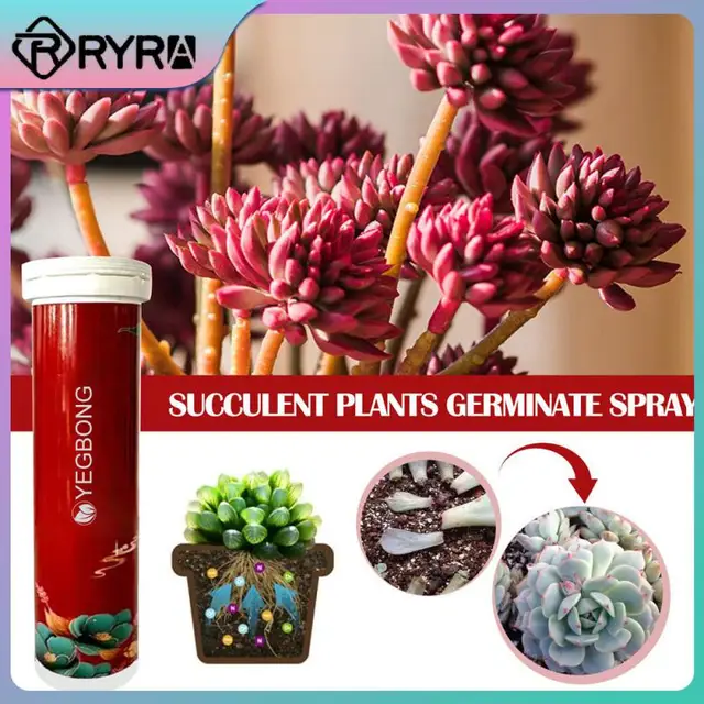 Csökkentse A Növények Mellékhatásait Nyomelemek Hiánya Miatt, Tápanyag-Tartós Kiadású Tabletták Ültetése Magokat Ültetve