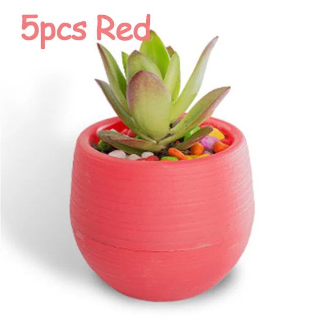 5pcs red