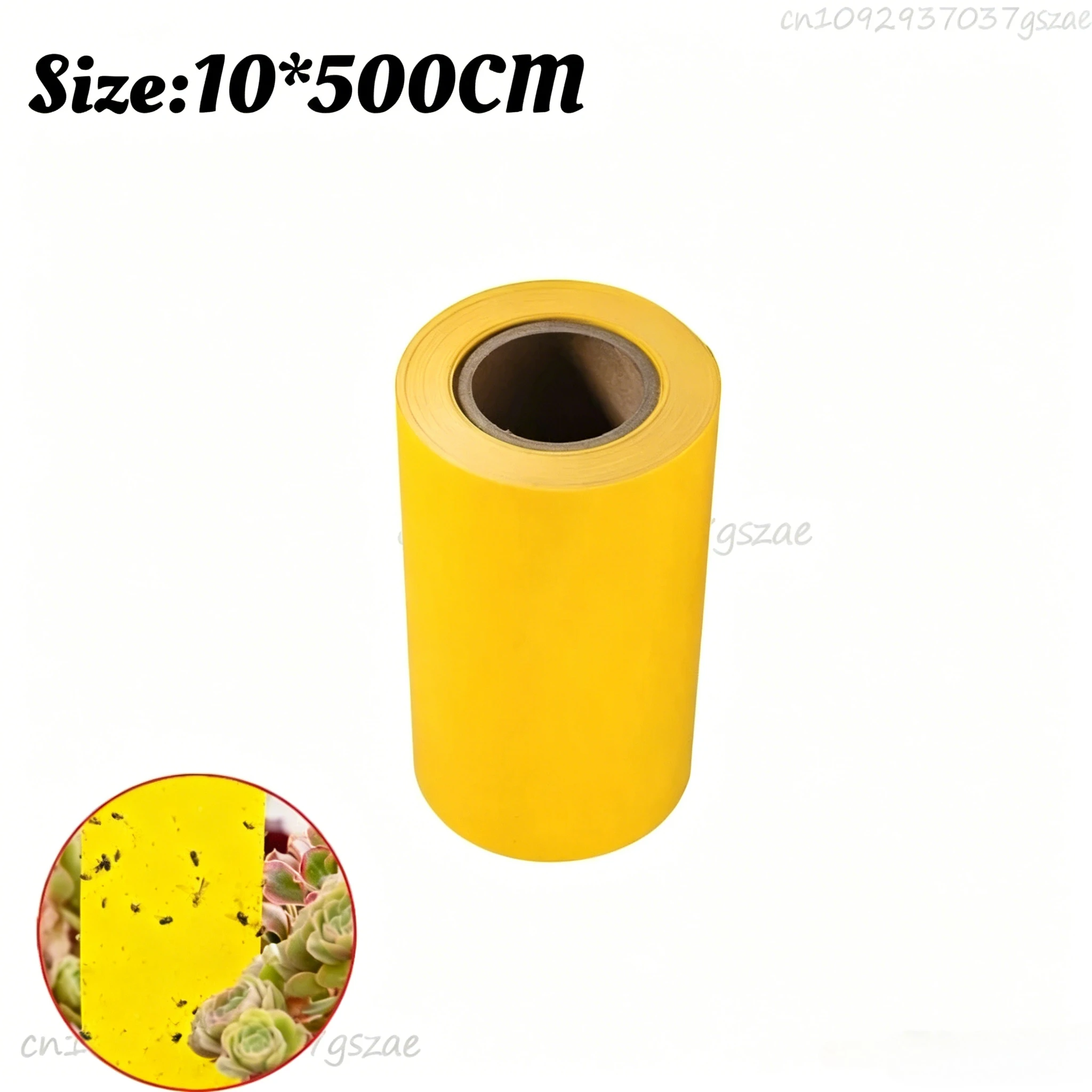 1Rolls(5M)