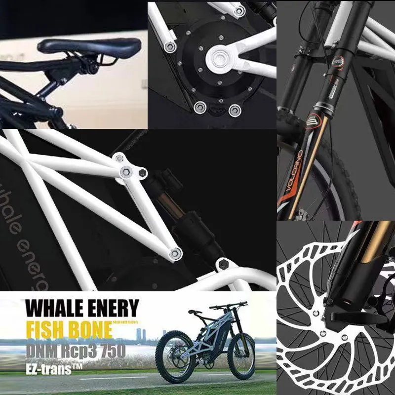 Whale Energy Surron Electric Dirt Bike 