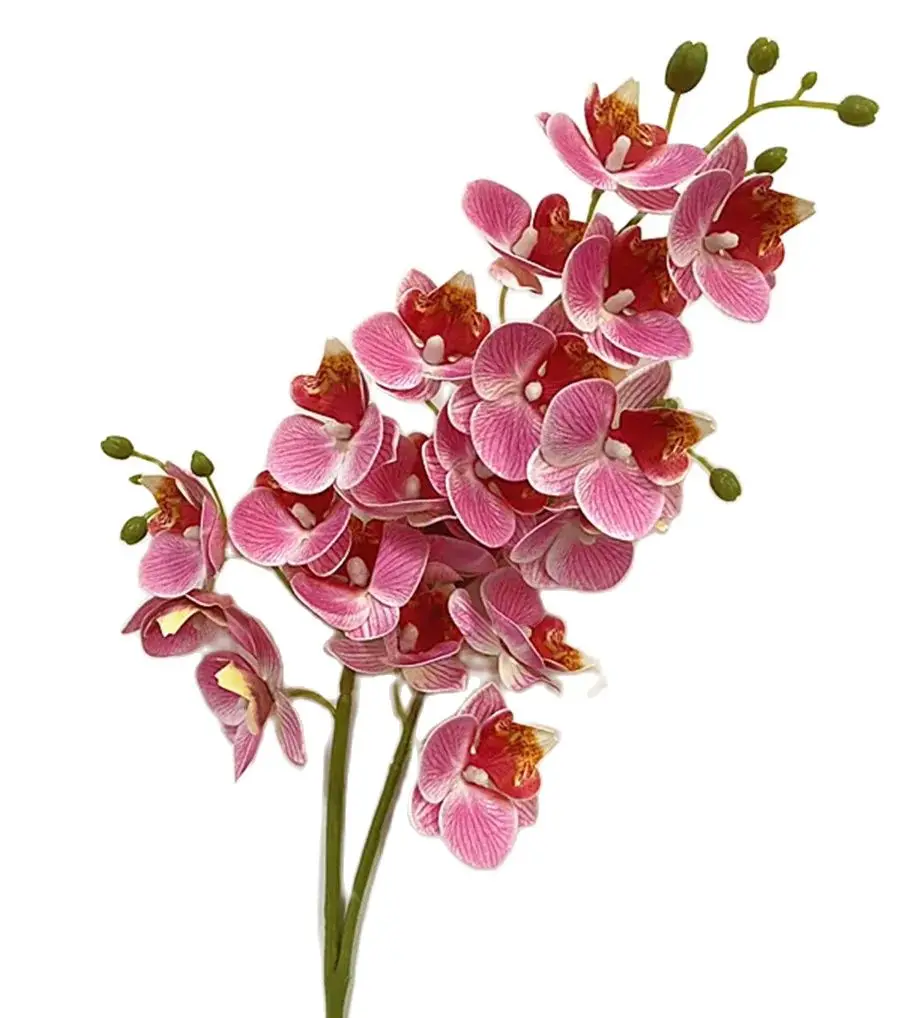 Real Touch Latex Butterfly Orchid Flowers – 21-Head Artificial Phalaenopsis Bouquet