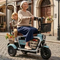 Scooter électrique tendance pour 2 personnes avec cage pour animaux/handcuffs pliables, tricycle électrique compact 600W pour famille, adultes, femmes, personnes âgées 1