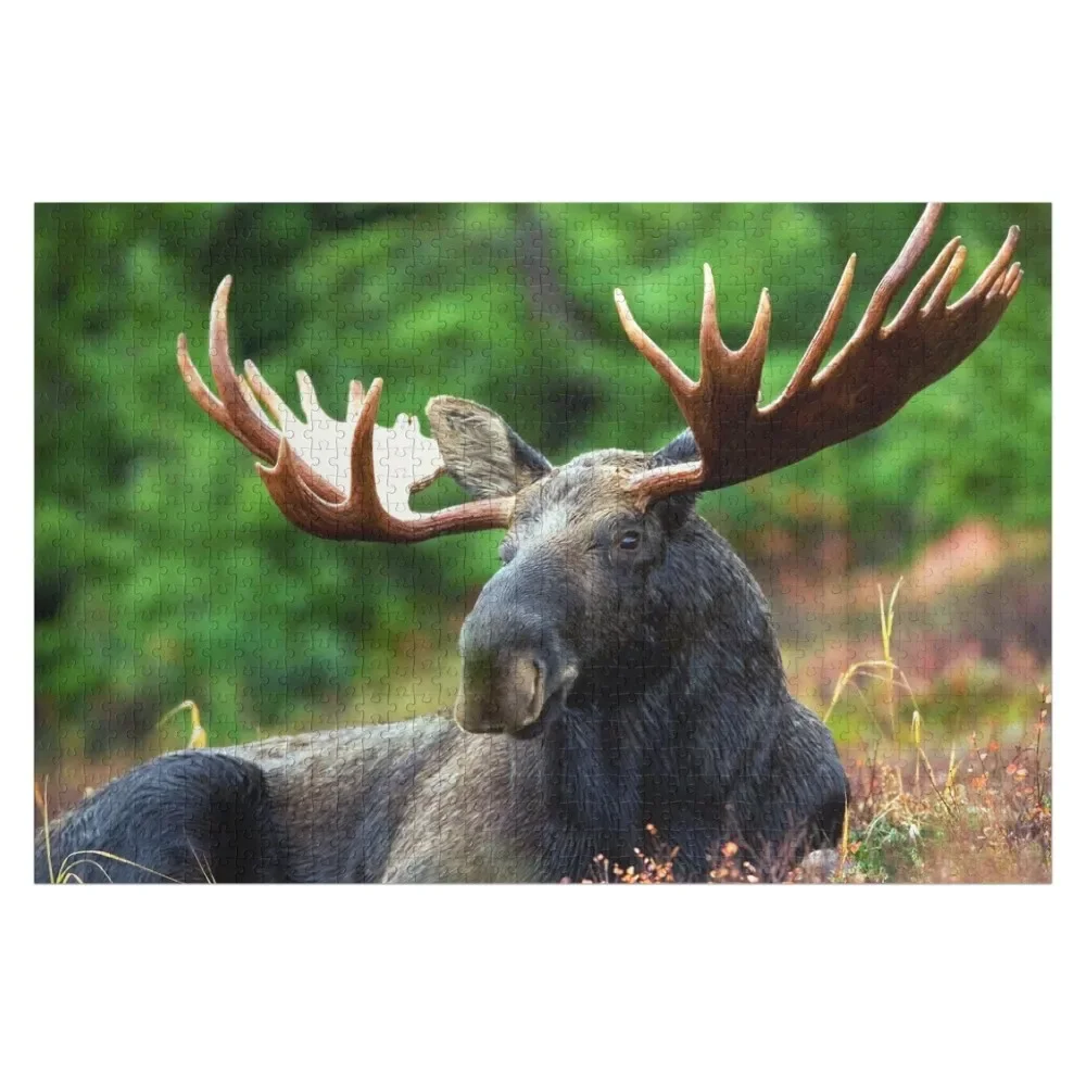 

Resting Moose Jigsaw Puzzle Toddler Toys Custom Puzzle
