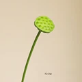 Lotus seedpod - S