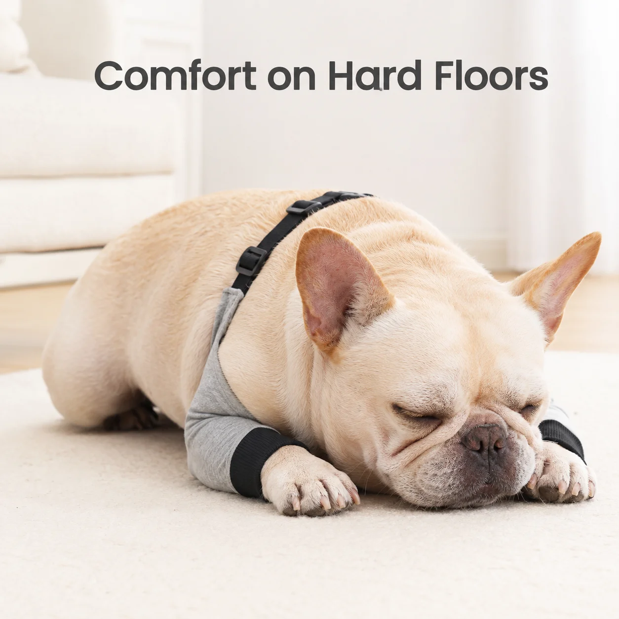 Adjustable Dog Elbow Protector with Padded Mesh Anti-Lick Guard