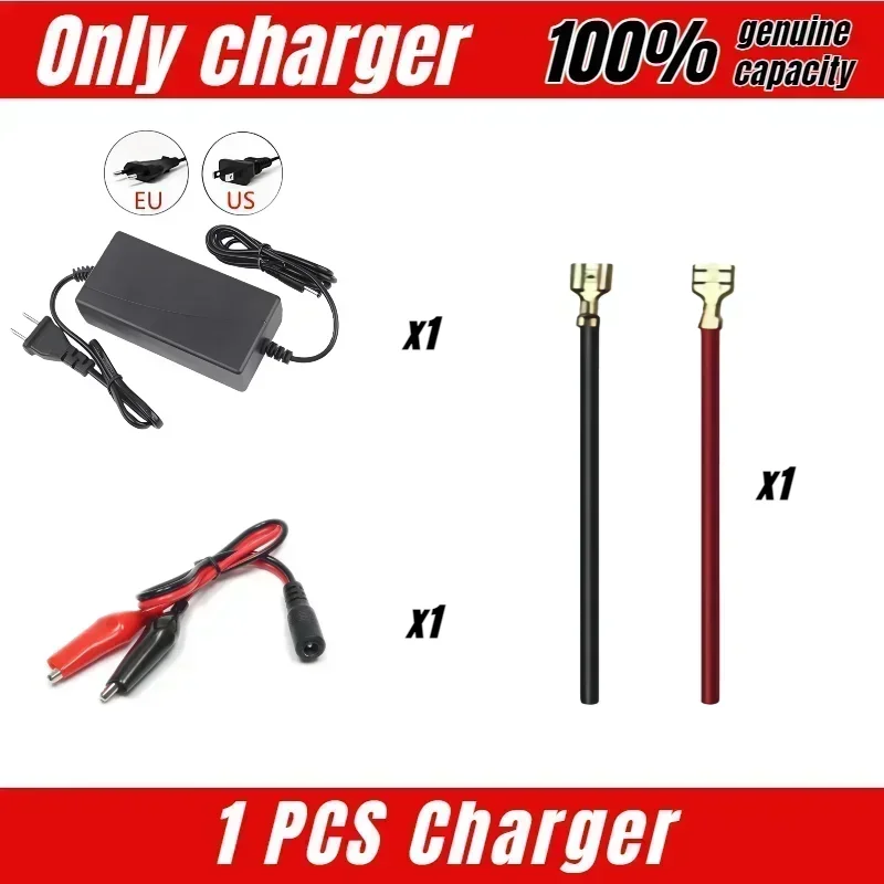 Only 12.6V charger
