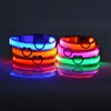 Dog Collar Nylon LED Night Safety Flashing Glow In The Dark Pet Dog Leash pet Dogs Luminous Fluorescent  dog accessories collar 3