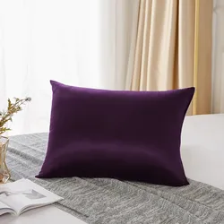Luxurious 25 Momme Natural Mulberry Silk Pillowcase - Premium Gift for Women, Gentle on Hair (Blue Purple)
