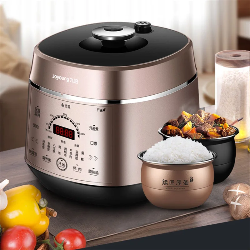 Household 5 Liter Electric Pressure Cooker 2 Inner Pots Instant Pot High Pressure Cooker Multifuncional Slow Rice Cookers