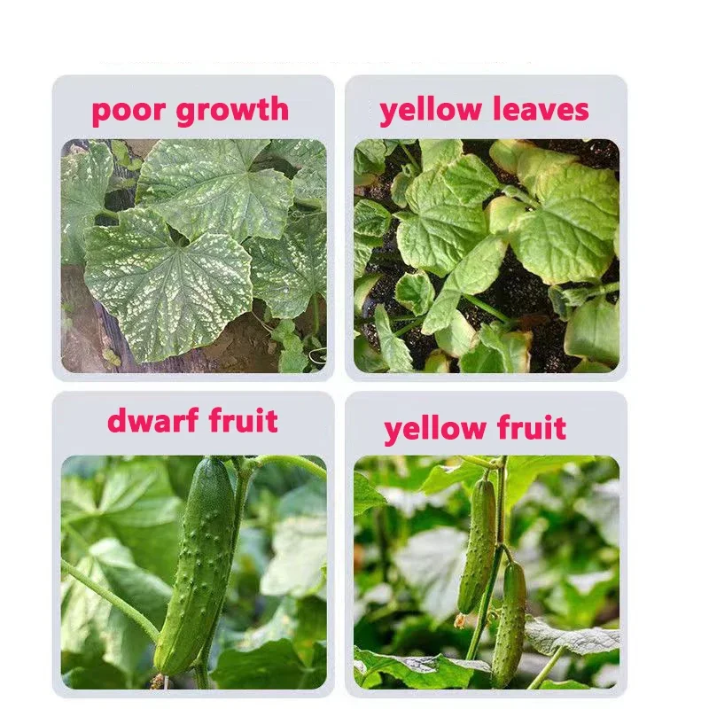 Plant compound fertilizer cucumber profession fertilizer special for loofah momordica gourd cantaloupe garden plant food promote growth crop farm