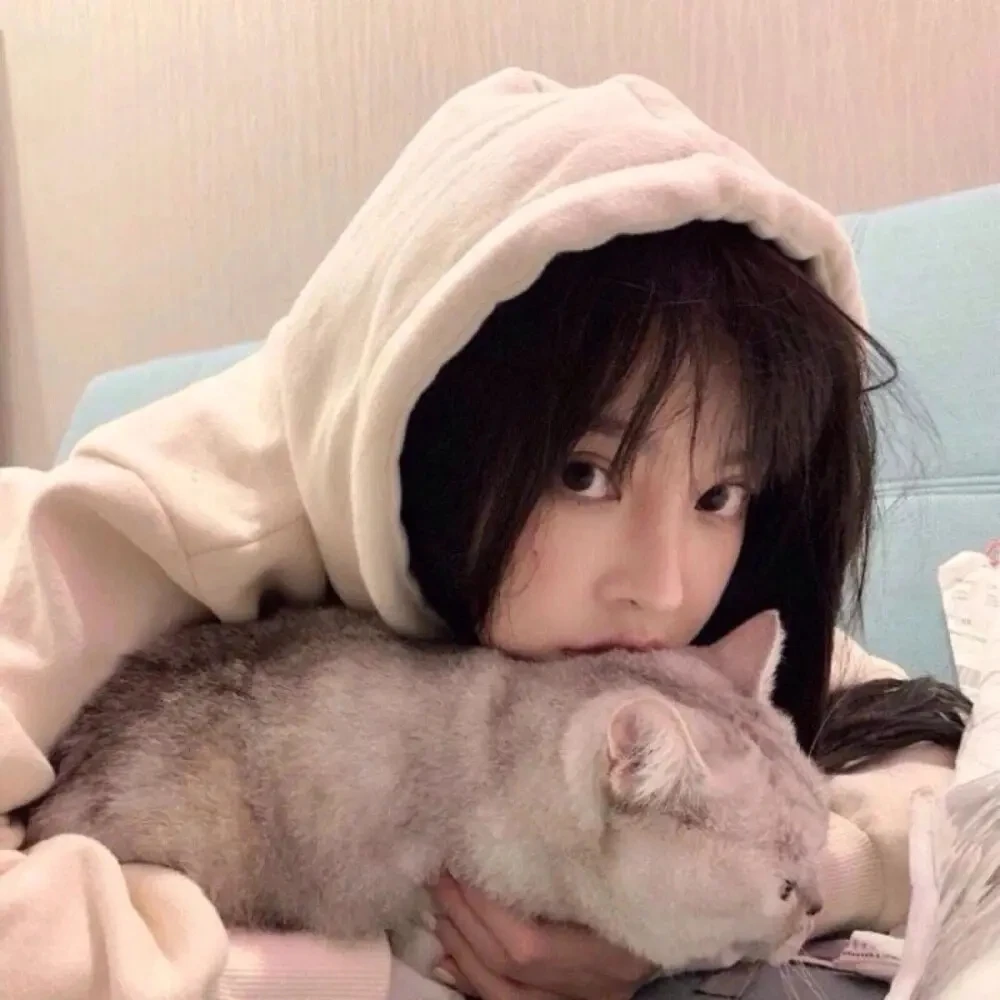 Shenzhen Hui Da Bestchip Store