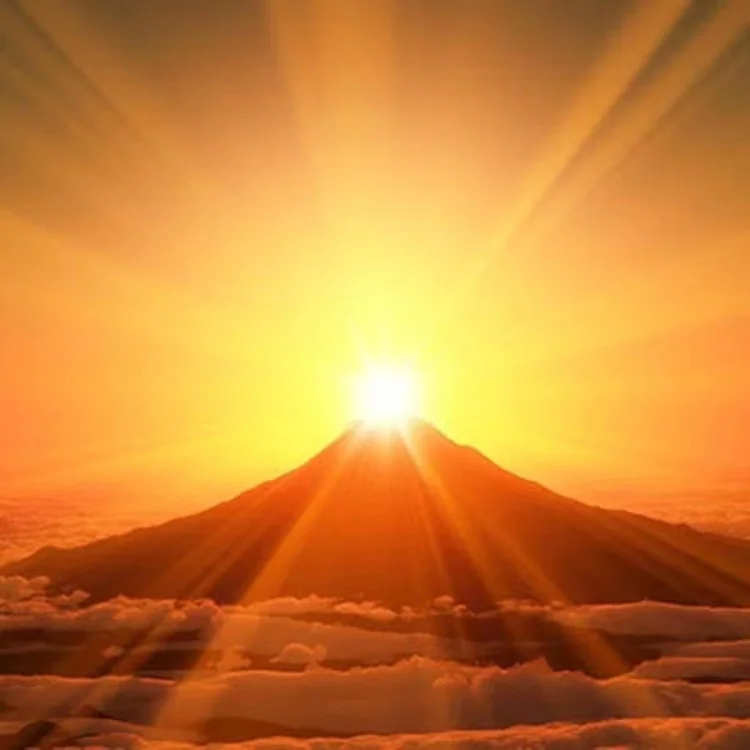 Mr Sun Store