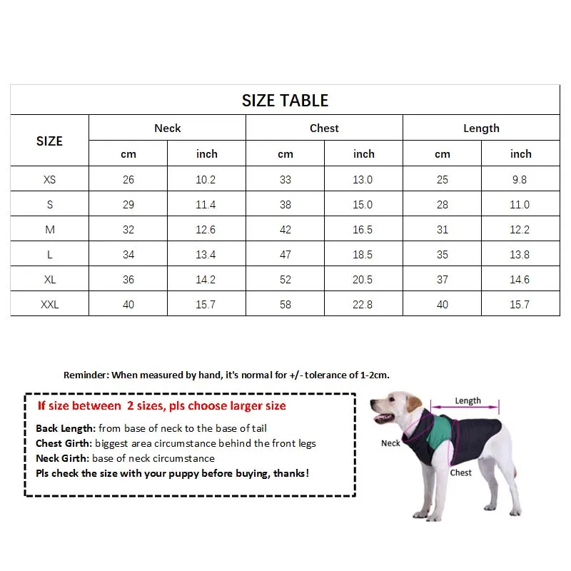 Pull en laine Fendi pour petits chiens - 2025 - Vêtement et accessoires pour chiens - Doglovedesign