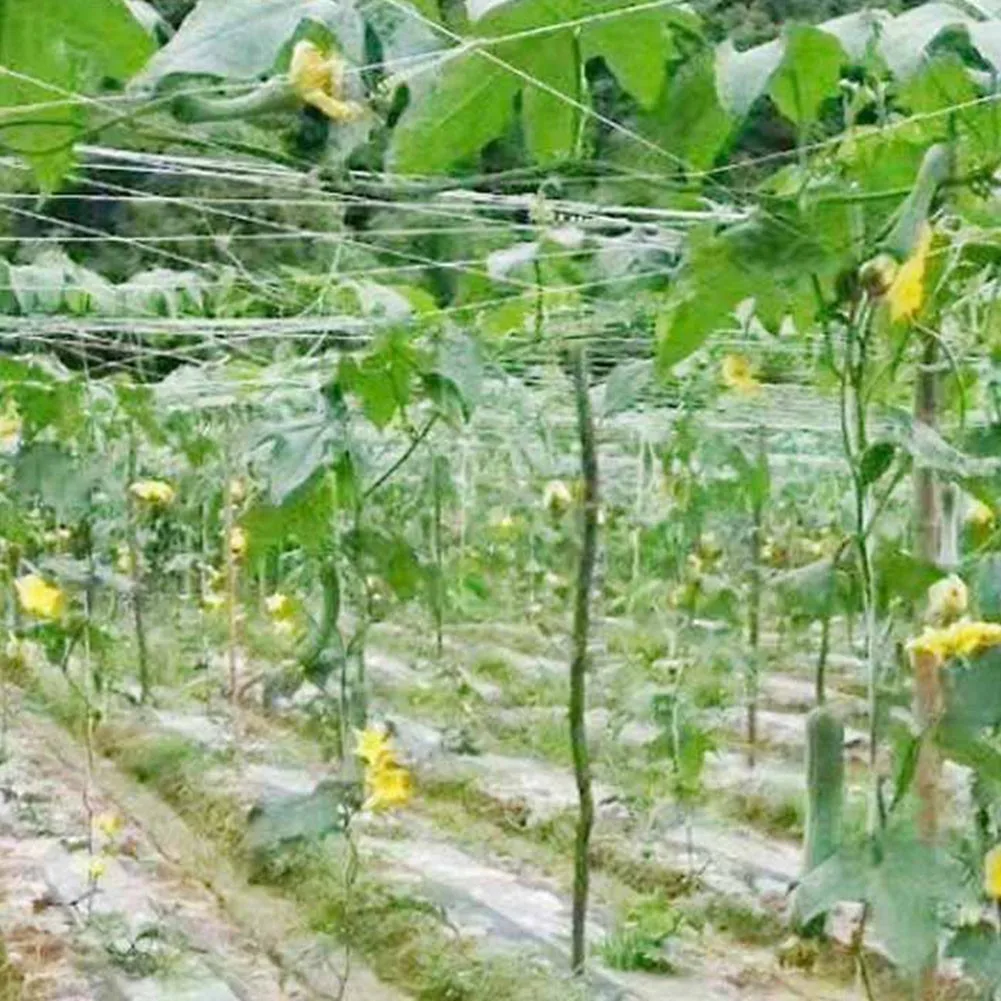 Gardening Trellis Net 2Mx100M Plant Climbing Flower Vine Netting Supports Grow Holder For Flowers Vine