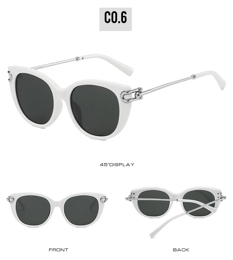 2026 Neue zweifarbige Sonnenbrille: Cat-Eye-Silhouette, silberne Akzente, stilvolles Streetwear-Stück – hochwertige Farbtöne im Ins-Style – Detail 12