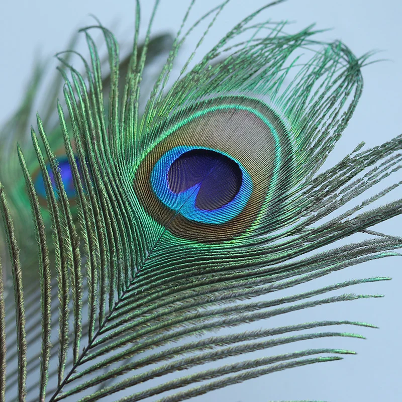 10X Real Natural Peacock Tail Eyes Feathers Wedding Festival Party