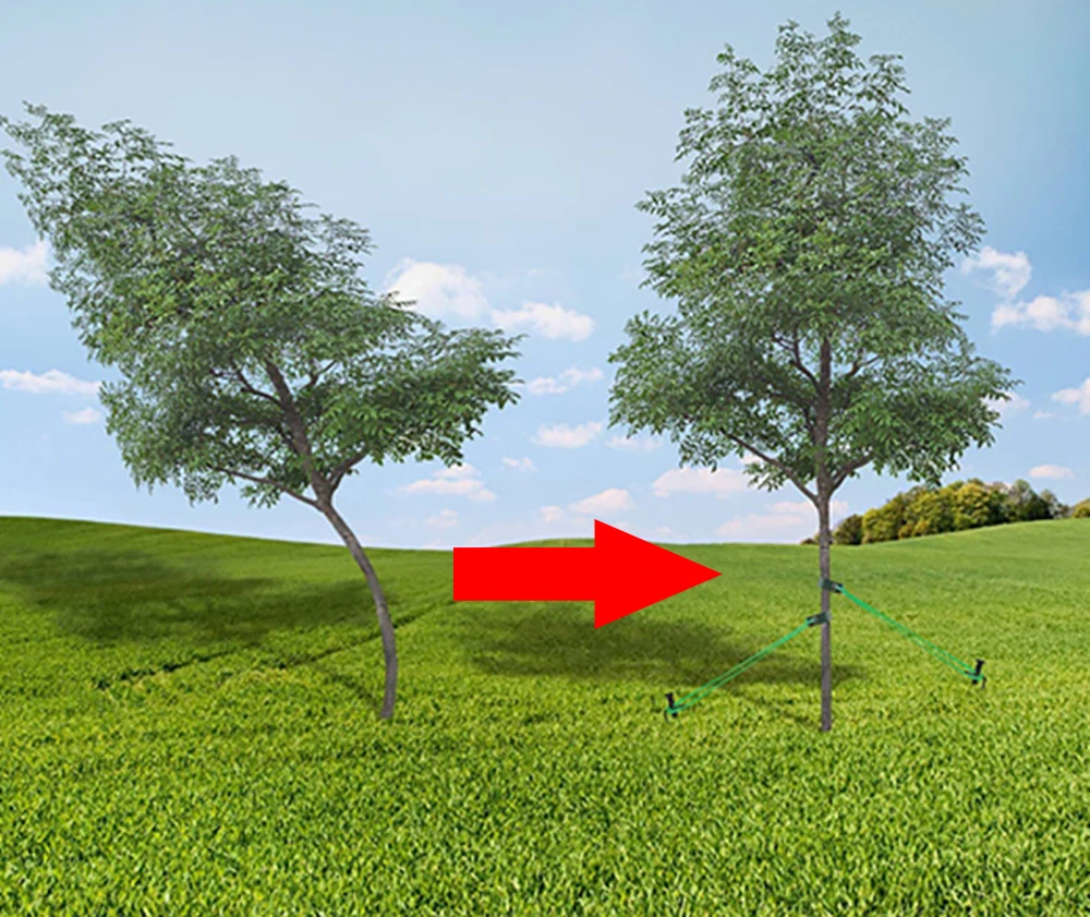 Windproof Tree Belt Anti-Hurricane Stereotyped Nylon Fixed Strap Newly Planted Branch Belt Tree Straightening Supporter 5 10pcs