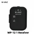 WP-12 1 Receiver