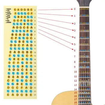Adesivi per tastiera per chitarra Adesivo per tastiera in scala musicale Adesivo per note per chitarra Adesivi per accordi per chitarra Adesivi per bilance per chitarra