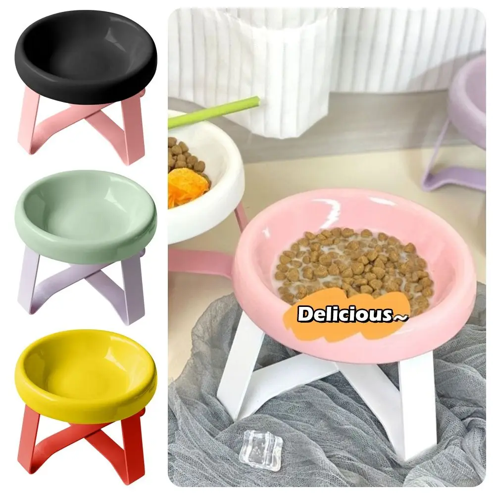 Elevated Cat Feeding Bowl 5