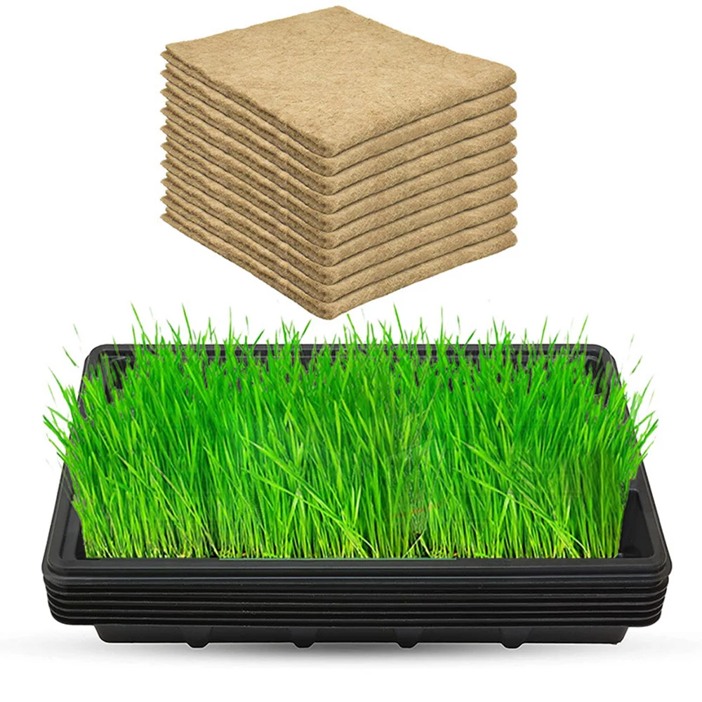 

Nursery Breathable Accessories Hydroponics Kit DIY Slotted Cups Plant Cultivation Rock Wool Cubes Multifunctional Garden Supplie