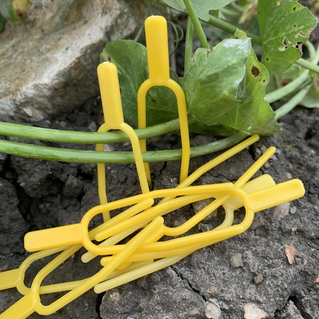 100Db -Os Eper Ültetési Villa Otthoni Kertészeti Berendezések