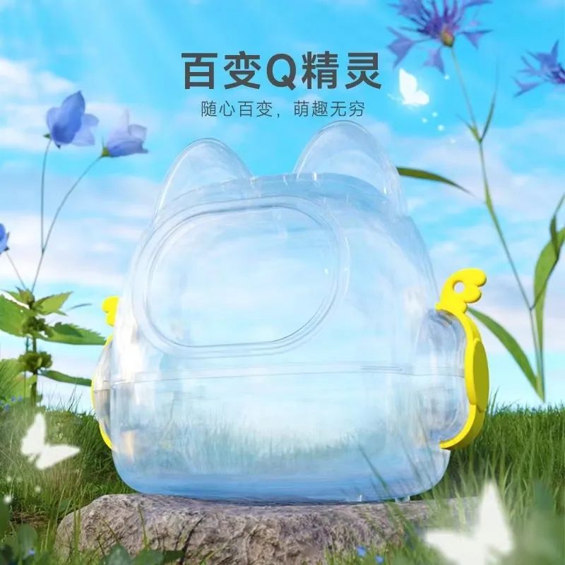 Transparent bag