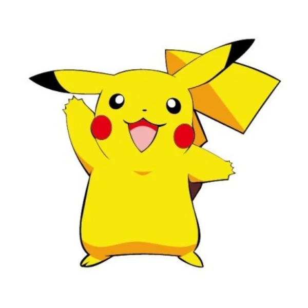 Pokemon Clothing 1 Store